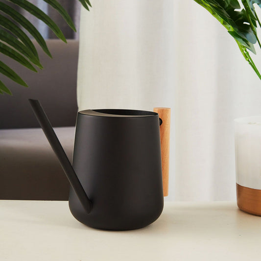 Black watering can on a table beside a houseplant