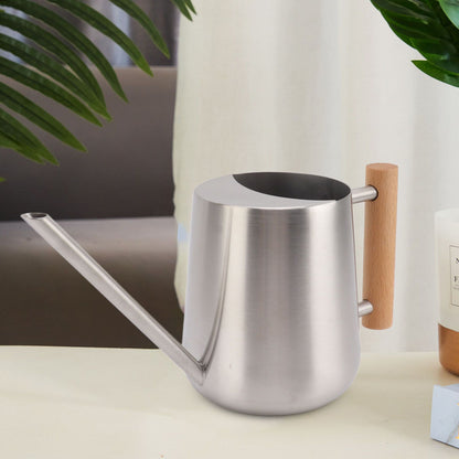 Stainless steel watering can on a table beside a houseplant