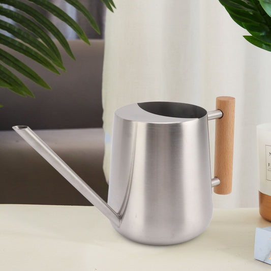 Stainless steel watering can on a table beside a houseplant
