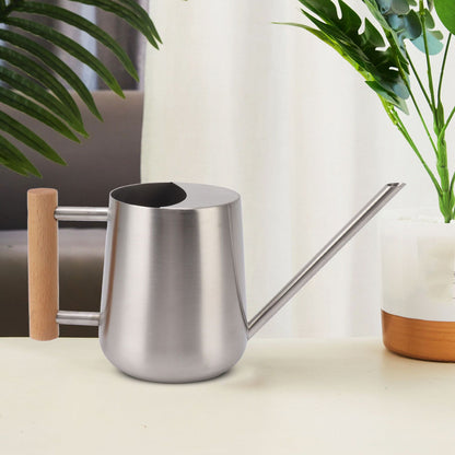 Stainless steel watering can styled on a table with indoor plants