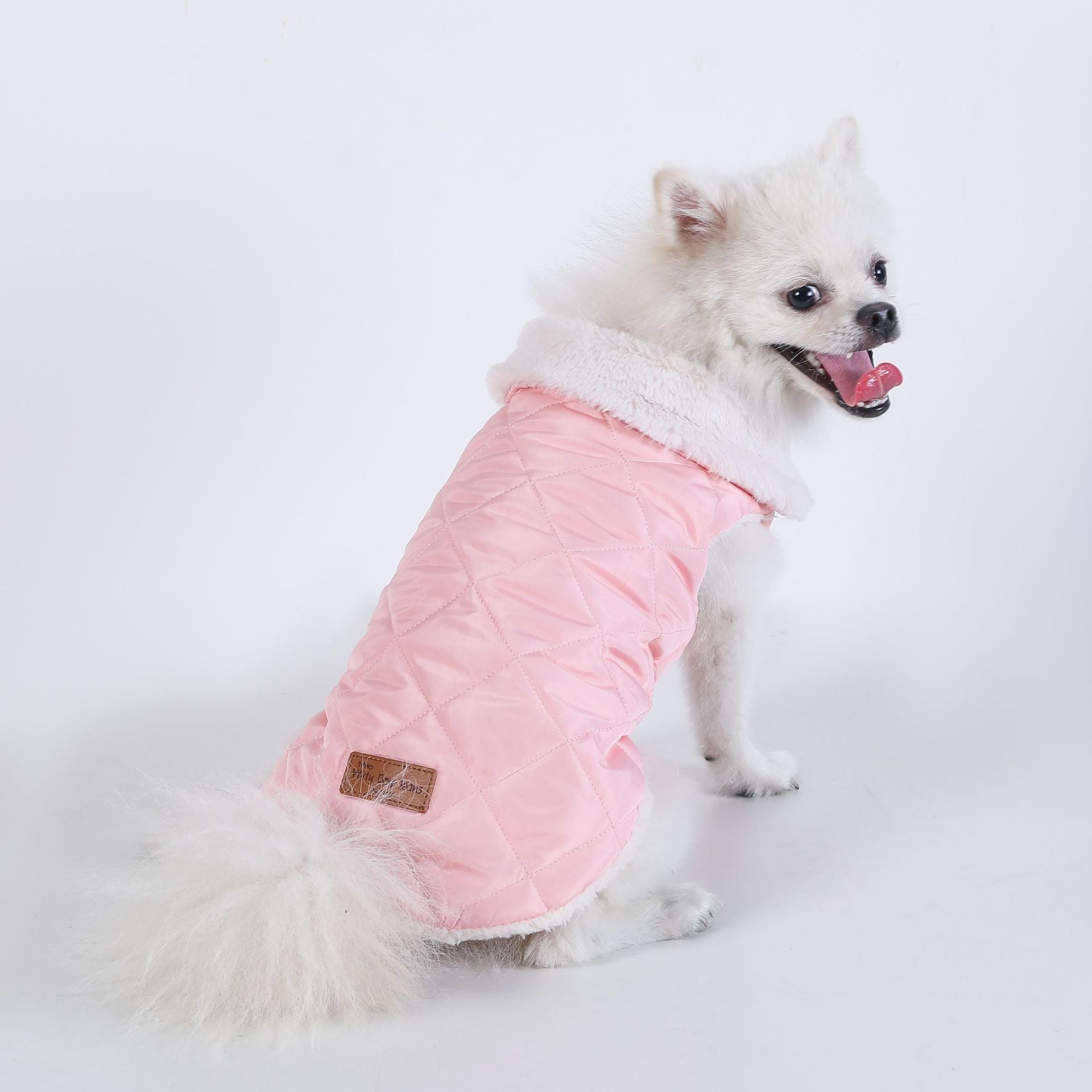 Small white dog wearing the pink padded thermal vest, rear view