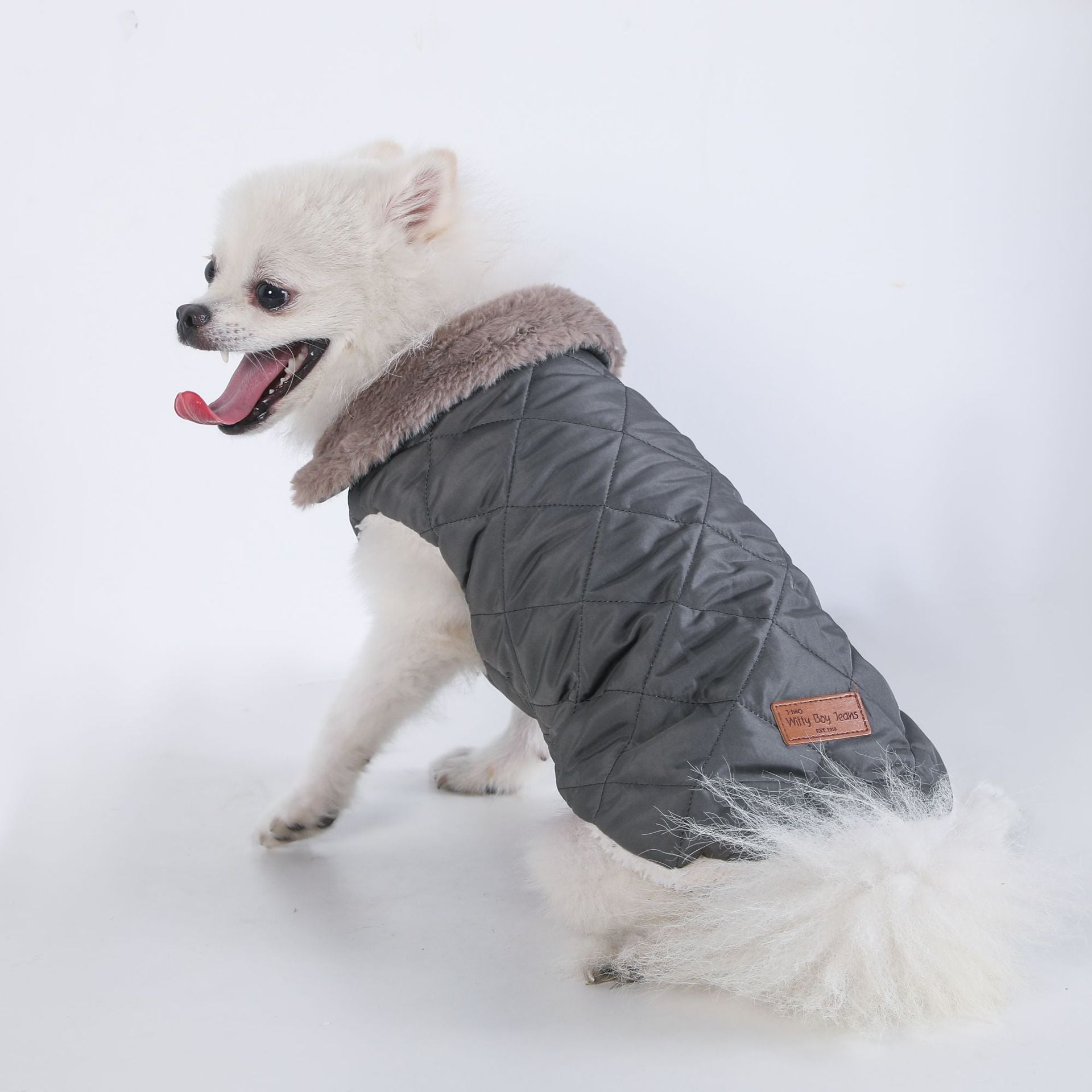 Small white dog wearing the grey padded thermal vest, rear view