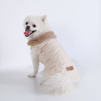 Small white dog wearing the beige padded thermal vest, rear view